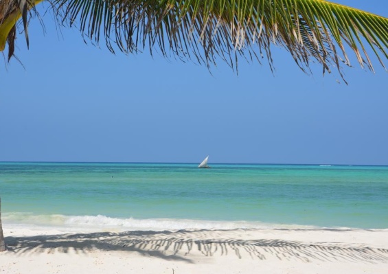 Hôtel Neptune Pwani Beach 5* + Safari 1 nuit Hôtel Neptune Pwani Beach 5* + Safari 1 nuit