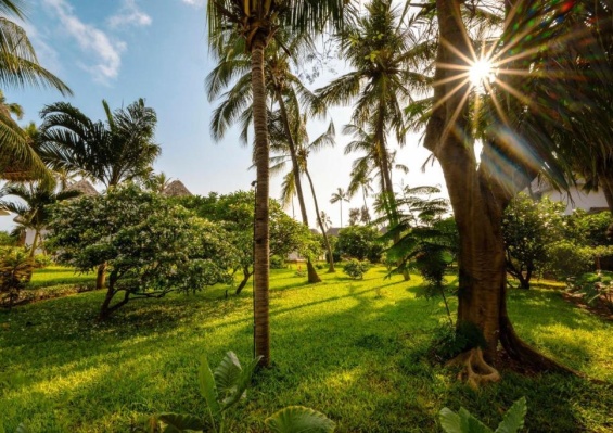 Hôtel Nungwi Beach Resort 4* by Turaco Hôtel Nungwi Beach Resort 4* by Turaco