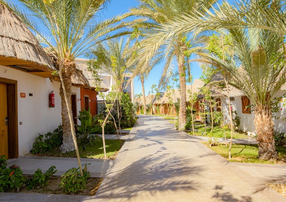 Ôclub Experience Panorama Bungalows Resort El Gouna 4* Ôclub Experience Panorama Bungalows Resort El Gouna 4*