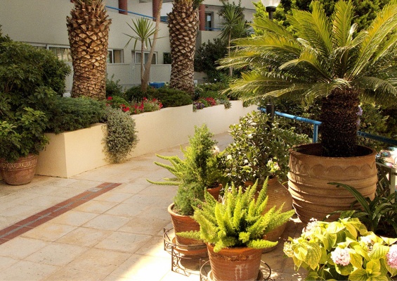 Smart club Ibiscos Garden Hotel 4* Smart club Ibiscos Garden Hotel 4*