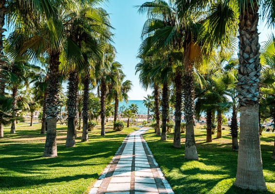 Hôtel Sural Resort 5* Hôtel Sural Resort 5*