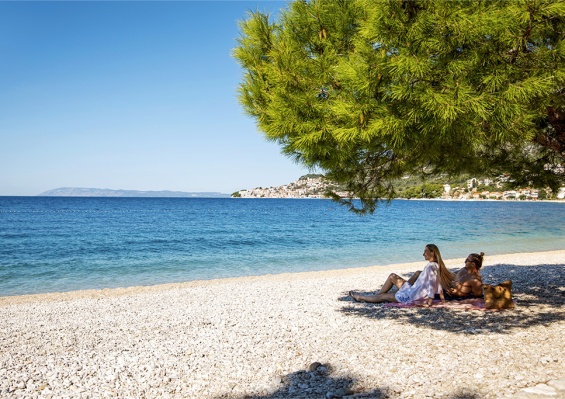 Hôtel TUI Blue Adriatic Beach 4* Adult Only +16 by Ôvoyages Hôtel TUI Blue Adriatic Beach 4* Adult Only +16 by Ôvoyages
