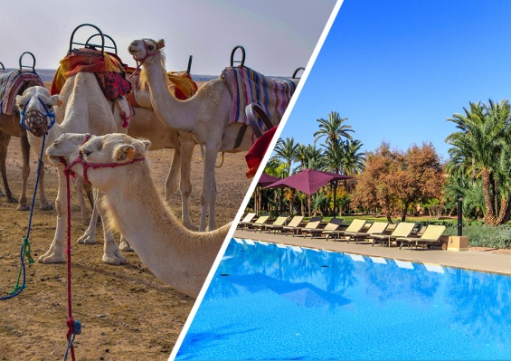 Circuit Marrakech & Désert de Merzouga by Ôvoyages Circuit Marrakech & Désert de Merzouga by Ôvoyages