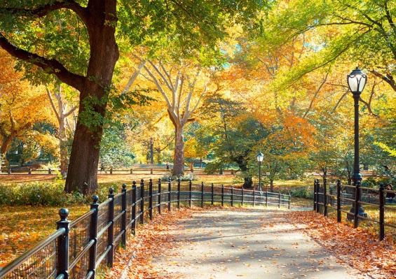 Hôtel Fairfield Inn & Suites by Marriott New York Manhattan / Central Park 3* Hôtel Fairfield Inn & Suites by Marriott New York Manhattan / Central Park 3*
