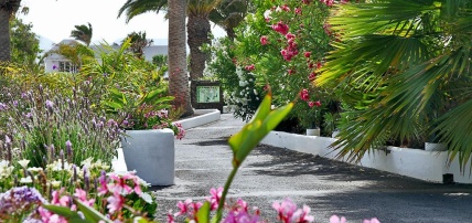 Hôtel Casas Heddy 3*, Séjour Espagne & ses îles, Canaries, Lanzarote par Ôvoyages Hôtel Casas Heddy 3*, Séjour Espagne & ses îles, Canaries, Lanzarote par Ôvoyages