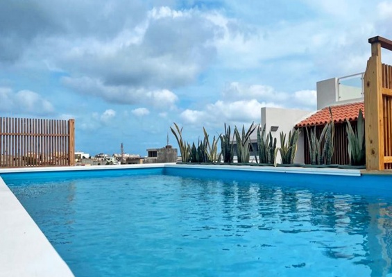 Hôtel Oasis White 4* Hôtel Oasis White 4*