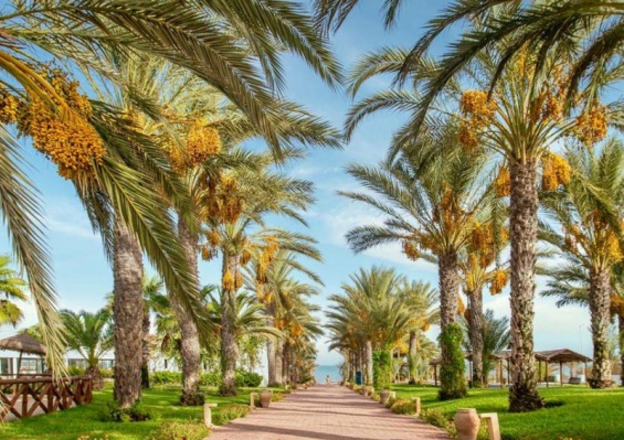 Hôtel Palm Azur 4* Hôtel Palm Azur 4*