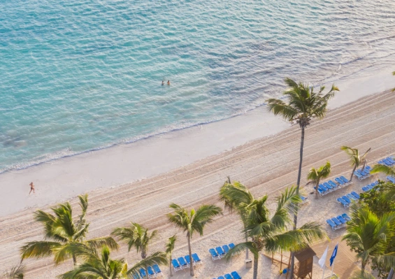 Hôtel Impressive Punta Cana 5* Hôtel Impressive Punta Cana 5*
