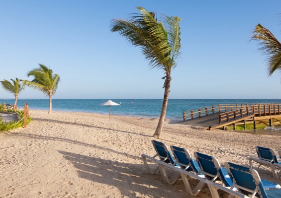Hôtel Impressive Punta Cana 5* Hôtel Impressive Punta Cana 5*