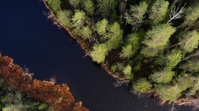 Vivez l'été au cœur de la Laponie à Savukoski - Hôtel Samperin Savotta, Séjour Finlande, Laponie par Ôvoyages Vivez l'été au cœur de la Laponie à Savukoski - Hôtel Samperin Savotta, Séjour Finlande, Laponie par Ôvoyages